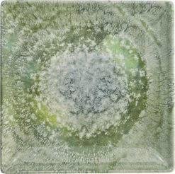 Lite-Body Hermes Gebaksbordjes - Set Van 8 Stuks - Ø16 Cm - Groen Reliëf 10 Lite-Body Hermes Gebaksbordjes - Set Van 8 Stuks - Ø16 Cm - Groen Reliëf -Keukenserie Winkel 1200x1197 20