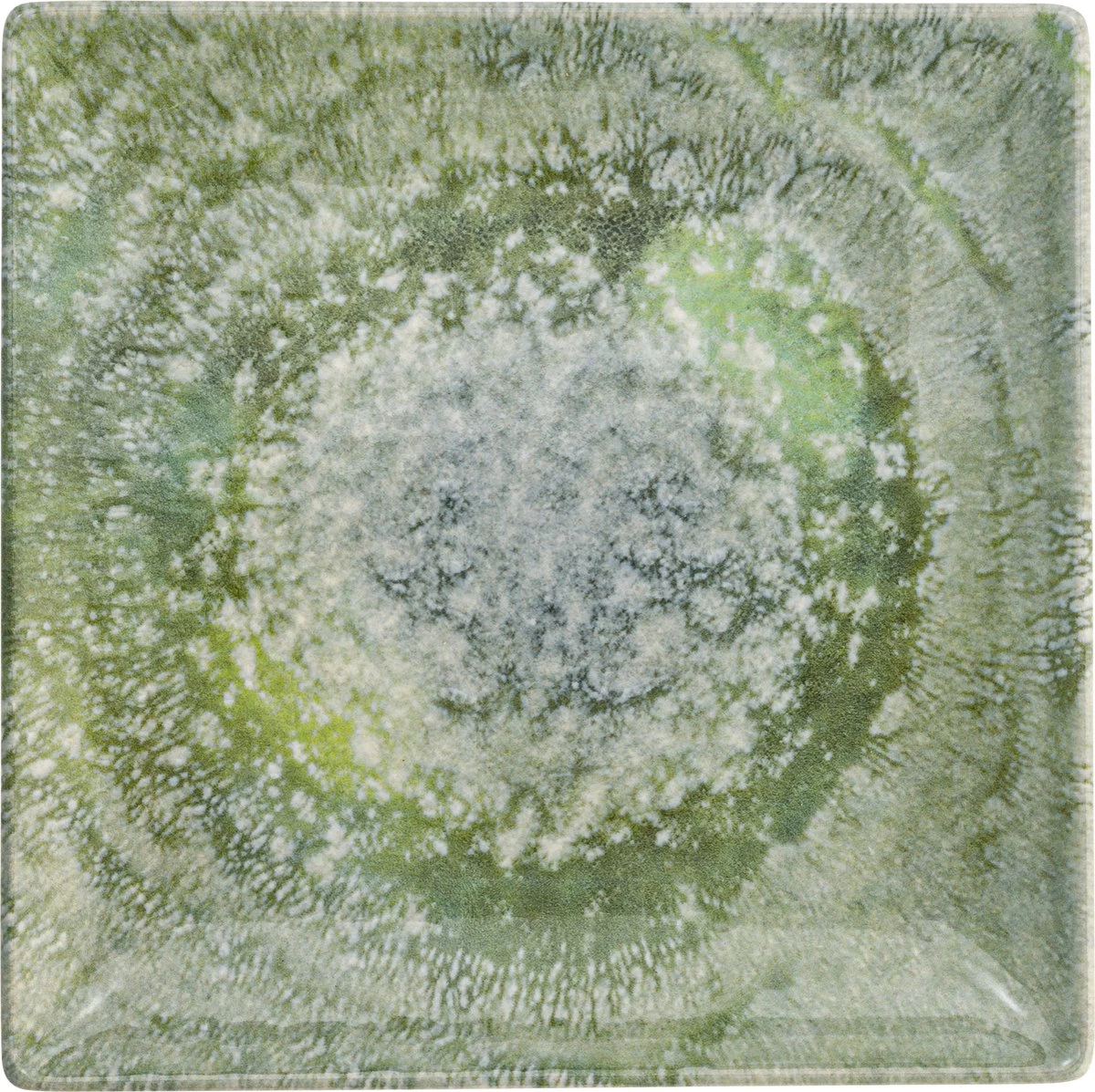 Lite-Body Hermes Gebaksbordjes - Set Van 8 Stuks - Ø16 Cm - Groen Reliëf 6 Lite-Body Hermes Gebaksbordjes - Set Van 8 Stuks - Ø16 Cm - Groen Reliëf - Afbeelding 5