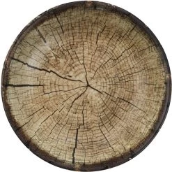 Kutahya Porselein Nano Krem Serviesset (24 Delig) 6 Personen - NNTS24Y2894010 -Keukenserie Winkel 1200x1197 6