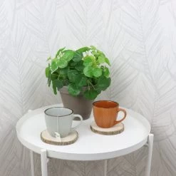 OTIX Koffiekopjes - Met Oor - Set Van 4 - Verschillende Kleuren - Aardewerk - 250 Ml 13 OTIX Koffiekopjes - Met Oor - Set Van 4 - Verschillende Kleuren - Aardewerk - 250 Ml -Keukenserie Winkel 1200x1200 342