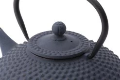 Bredemeijer - Theepot Xilin 1,25L Gietijzer Blauw -Keukenserie Winkel 1200x800 132