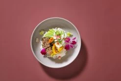 Palmer Serviesset Sandy Loam Stoneware 6-persoons 24-delig Grijs 30 Palmer Serviesset Sandy Loam Stoneware 6-persoons 24-delig Grijs -Keukenserie Winkel 1200x800 68