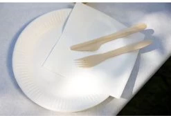 Kartonnen Bordjes Wit Ø23 Cm - Wegwerp Bord - Feest/Verjaardag - 100 Stuks 7 Kartonnen Bordjes Wit Ø23 Cm - Wegwerp Bord - Feest/Verjaardag - 100 Stuks -Keukenserie Winkel 1200x818 3