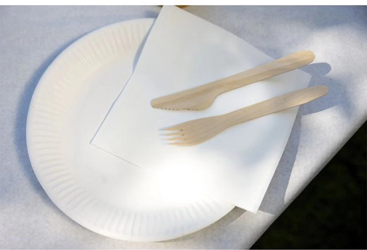 Kartonnen Bordjes Wit Ø23 Cm - Wegwerp Bord - Feest/Verjaardag - 100 Stuks 4 Kartonnen Bordjes Wit Ø23 Cm - Wegwerp Bord - Feest/Verjaardag - 100 Stuks - Afbeelding 2