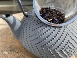 Bredemeijer Theepot Fujian 1.2L Met Filter Warm Grijs -Keukenserie Winkel 1200x899 12