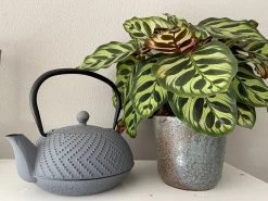 Bredemeijer Theepot Fujian 1.2L Met Filter Warm Grijs -Keukenserie Winkel 1200x899 14