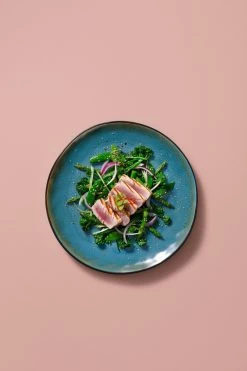 Palmer Bord Lotus 27.5 Cm Zwart Turquoise Stoneware 2 Stuk(s) -Keukenserie Winkel 800x1200 93