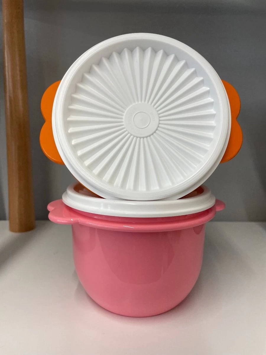 Tupperware Zonnedeksel Kommen Set Van 2 4 Tupperware Zonnedeksel Kommen Set Van 2 - Afbeelding 2